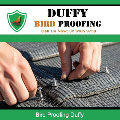 Close up of professional bird mesh installation in Duffy ACT
